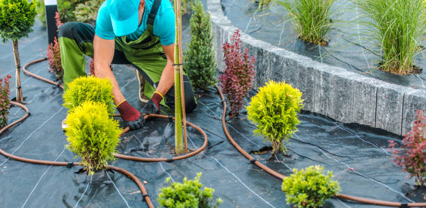 istock Landscaping Contractor Building Drip Irrigation System in a Garden 1438183271