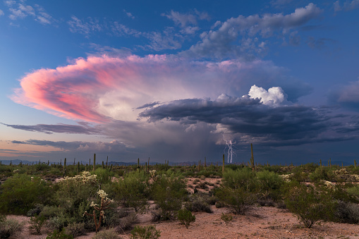 Monsoon thunderstorm with lightning in the Sonoran Desert at sunset near Superior, Arizona