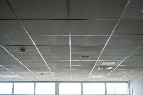 istock white office ceiling, square ceiling of an office with natural light 1438187325