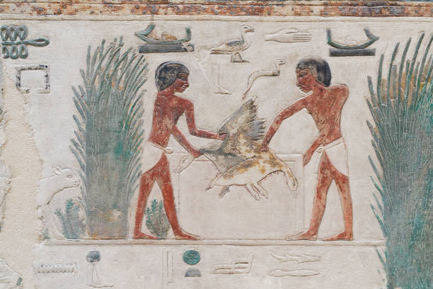 painted Egyptian limestone relief from the Old Kingdom, 5th dynasty with an agricultural scene