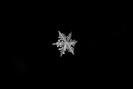 Single snowflake on black