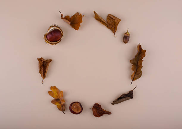 istock Autumn background with dry leaves. 1438191131