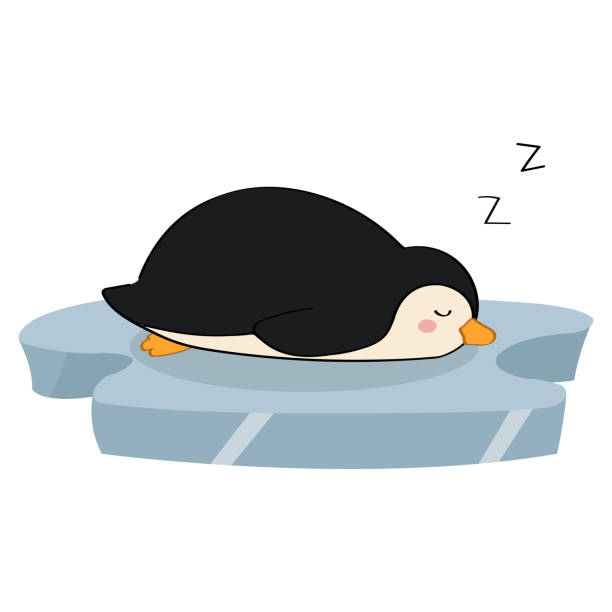 Cute Penguin Pajama Sleep T-Shirt For Bedtime Cute Penguin Pajama Sleep T-Shirt For Bedtime