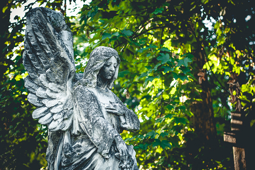 Sculpture of angel on cemetery with green leaves in background