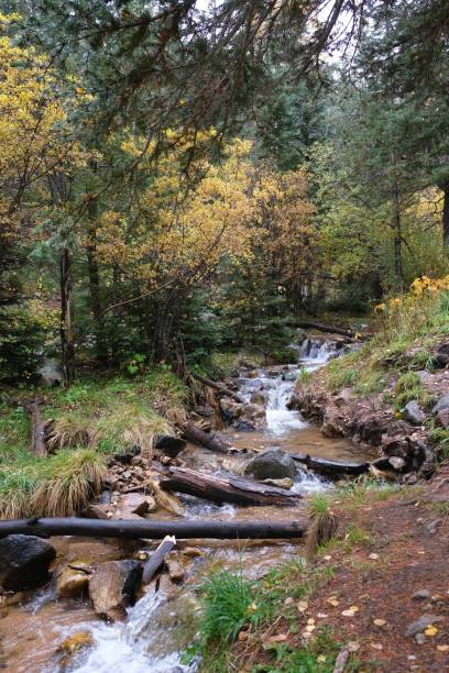 istock Sangre de Cristo Mtns Aspen fall colors 1438192458