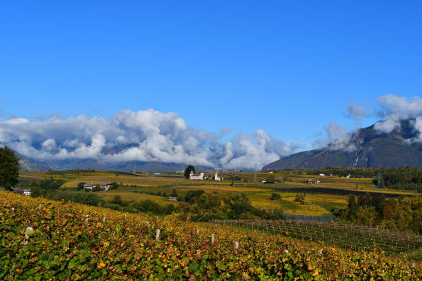 istock Vineyards and mountains around Caldaro in Southtyrol 1438200982