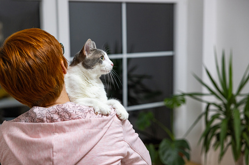 Caucasian female pet owner, holding her domestic cat, spending the cozy day together