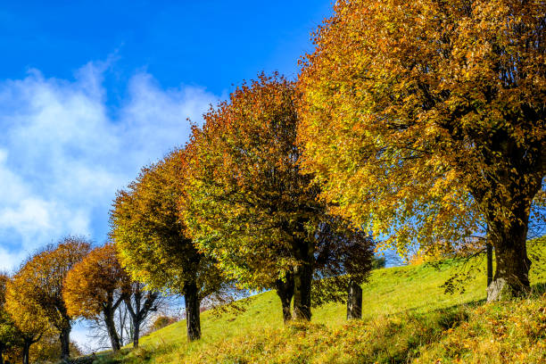 istock old alley at a hill 1438203955