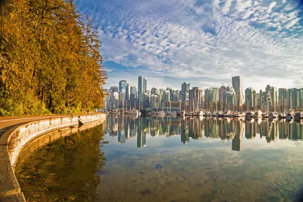 Vancouver Downtown at Autumn Time Beautiful view of Vancouver skyline with Stanley Park   modern buildings and s sea wall walking path on the background of cloudy sky  BC Canada