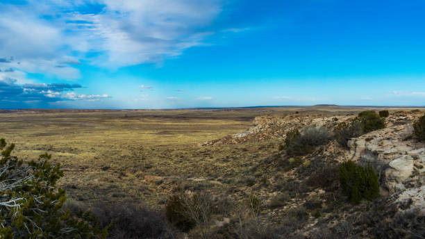 istock Beautiful Petrified Forest National Park Landscape in March 1438207285