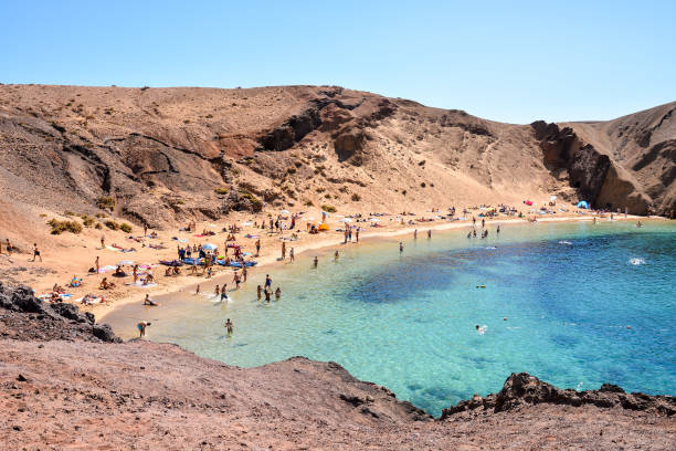 istock Landscape in Tropical Volcanic Canary Islands Spain 1438208311