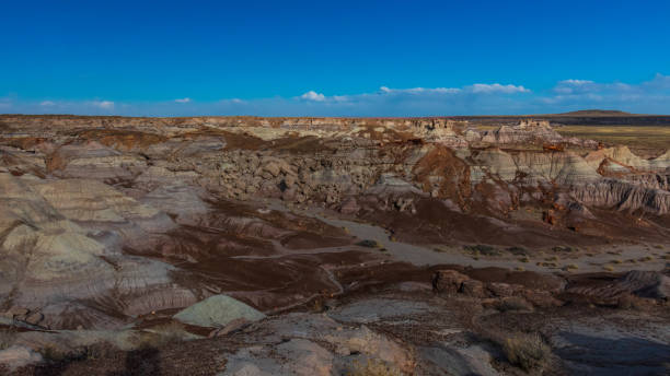 istock Striped Petrified Forest National Park 1438209494