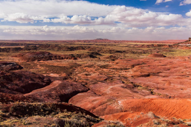 istock Beautiful Petrified Forest National Park Landscape in March 1438210698