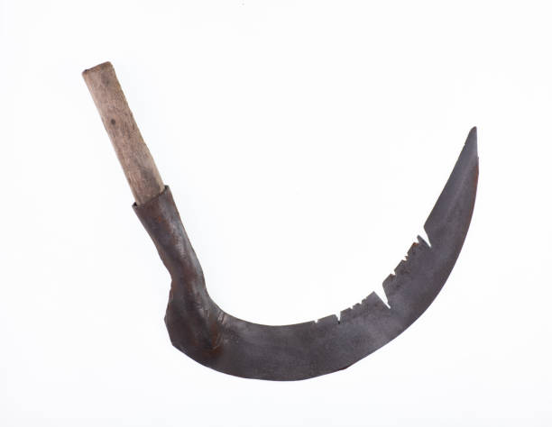 istock halloween rusty scythe isolated on white background 1438212169