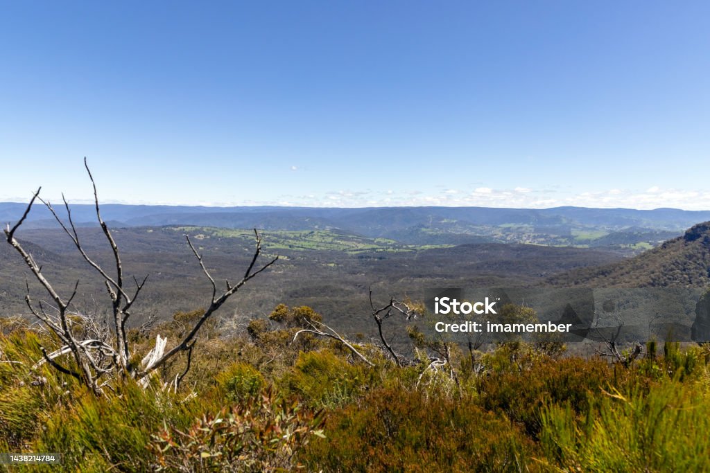 Valley in Blue Mountains National park, background with copy space Jamison Valley in Blue Mountains National Park, background with copy space, full frame horizontal composition Adventure Stock Photo