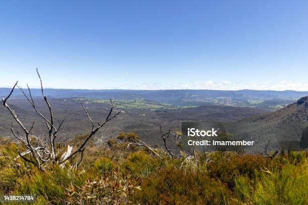 Valley In Blue Mountains National Park Background With Copy Space Stock Photo - Download Image Now