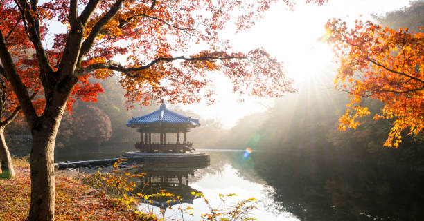 istock Maple leaves and pavilion reflected in the lake 1438216626