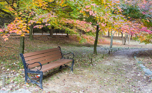 Tranquil  Road and Park Bench At Outdoors