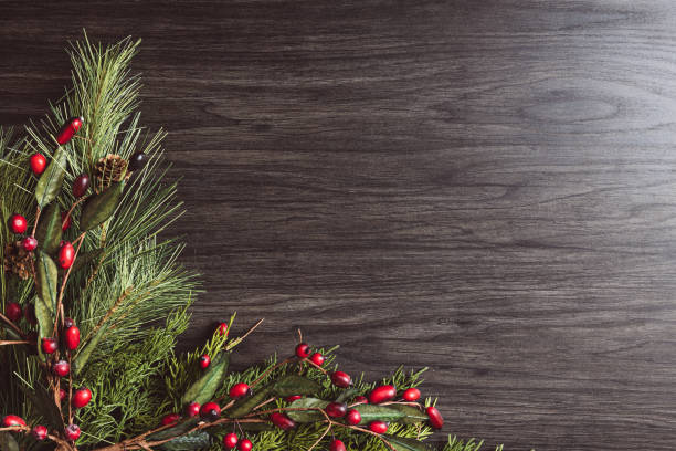 Evergreen boughs and red berries on dark wood