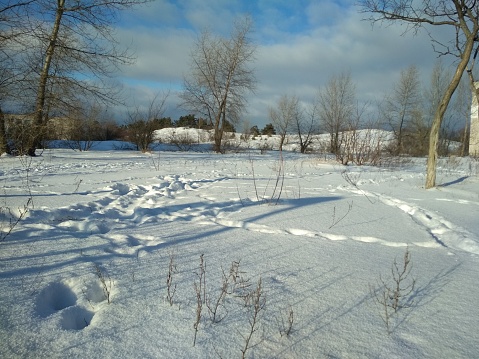 winter landscape. snow trails on snow trees and blue sky with clouds. winter fun games. walk in winter.