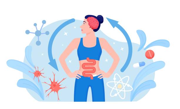 stockillustraties, clipart, cartoons en iconen met gut brain connection. interaction, cooperation and health effects from emotions and thoughts to stomach digestive system. enteric nervous system in human body. signals from brain to digestive tract - bacterial mat