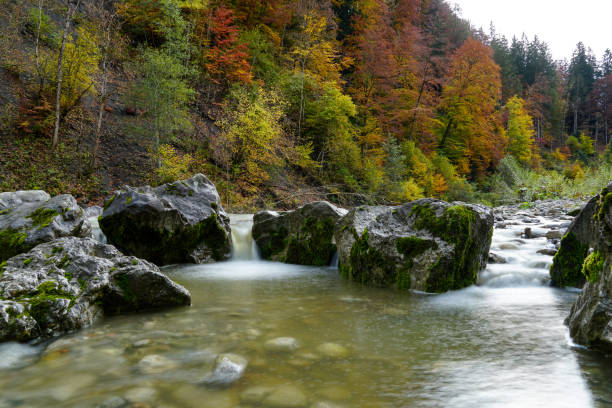 View of the white water river in an autumnal landscape in Breitachklamm A view of the white water river in an autumnal landscape in Breitachklamm breitachklamm stock pictures, royalty-free photos & images