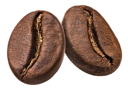 Two roasted coffee beans isolated on white background, full depth of field