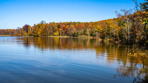 istock Fall autumn leaves in nature 1438227918