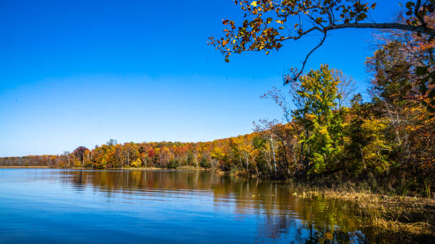 istock Fall autumn leaves in nature 1438227956