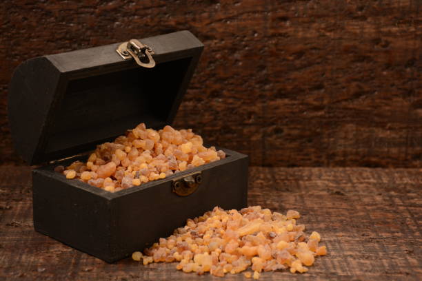 commiphora myrrha, résine ou cristaux de myrrhe naturelle. - myrrhe photos et images de collection