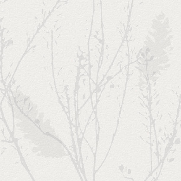 istock Botanical print with grey little branch and fir tree cones on watercolor  paper 1438243300