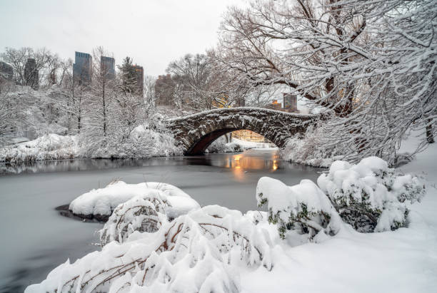 istock Gapstow Bridge in Central Park 1438245531