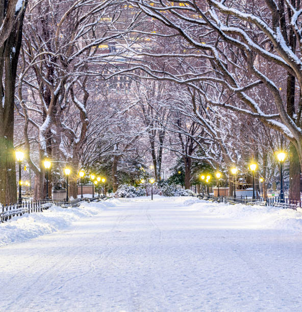 istock Central Park the Mall after snow storm 1438245561