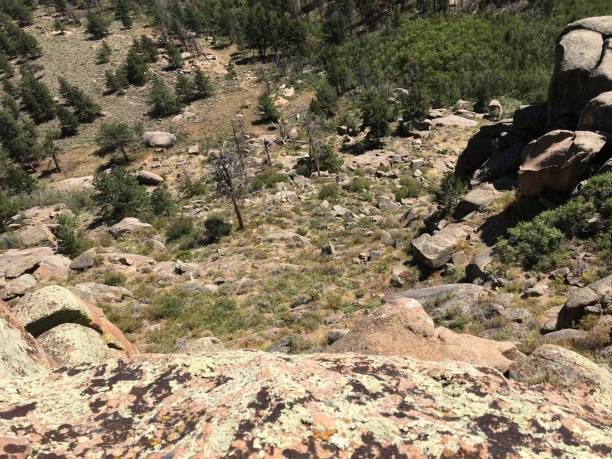 istock Overlooking a valley from the top of eagle rock, Wyoming 1438250811