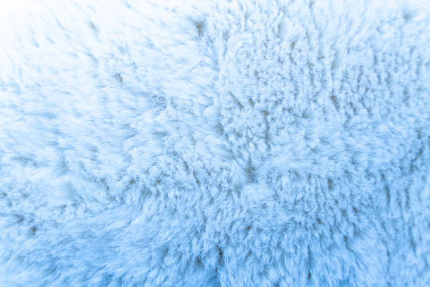 istock Blue sheep fur. Natural sheepskin rug background. Wool texture 1438252844
