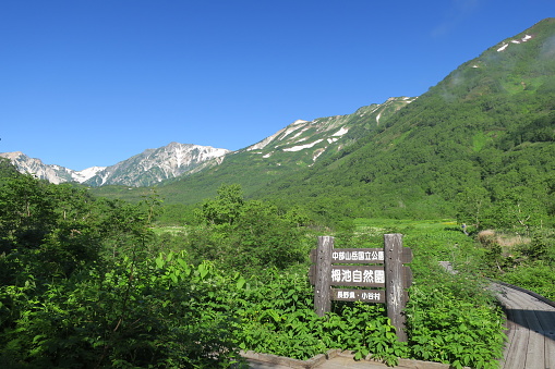 Tsugaike Nature Park at Nagano, Japan