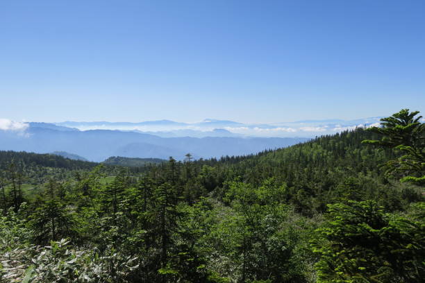 istock Tsugaike Nature Park at Nagano, Japan 1438261719