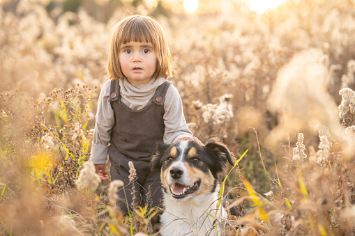 A sweet little brunette haired girl plays with her dog in a field of tall grass as they spend time outside together.  She is dressed casually and is petting the dog as he sits beside her.