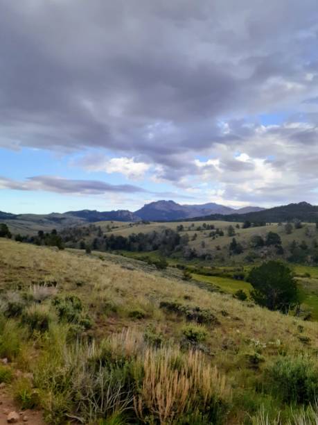 istock Scenic mountain drive adventure 1438264016