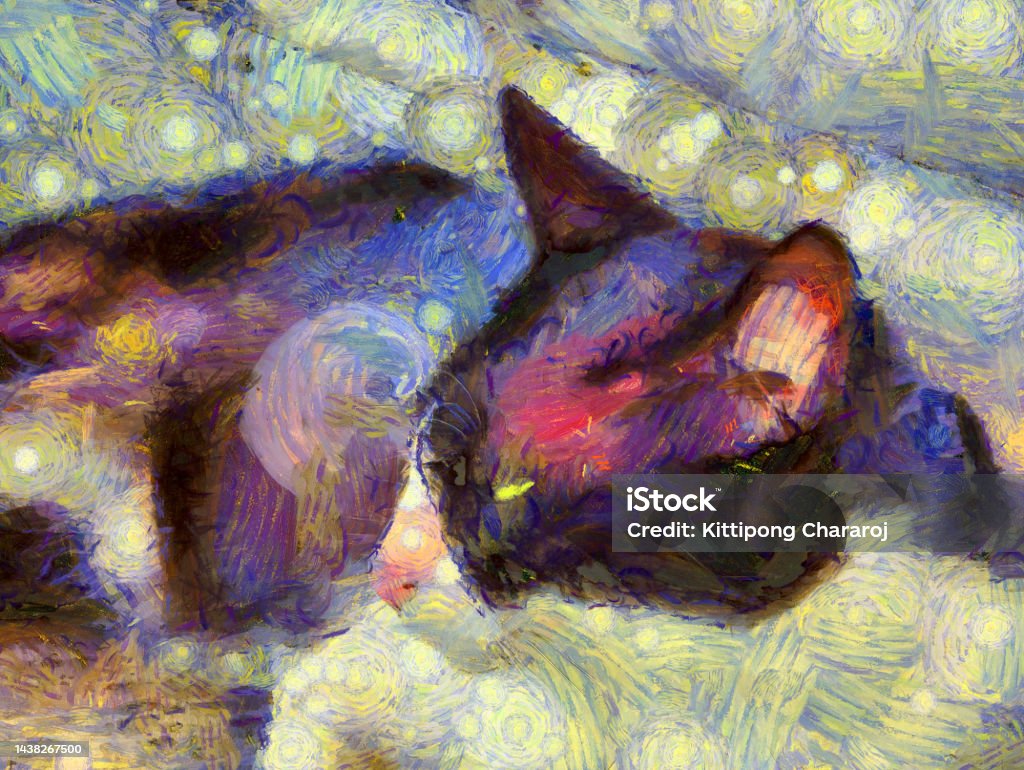 Kucing Hitam Putih Dengan Mata Kuning Ilustrasi Menciptakan Gaya