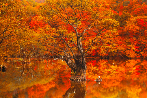 Autumn View of Lake Jusanji