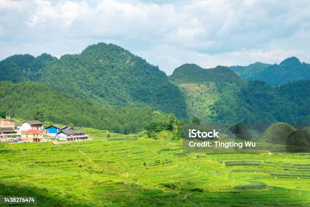 Guizhou Gaoyao Terrace Stock Photo - Download Image Now - Aerial View, Agricultural Field, Agriculture