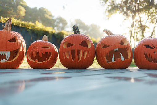 Morning Jack O'Lanterns - Carved Pumpkins at in the Morning - Scary Halloween Decorations