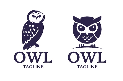 Owl bird logo, education owl, wise owl logo design