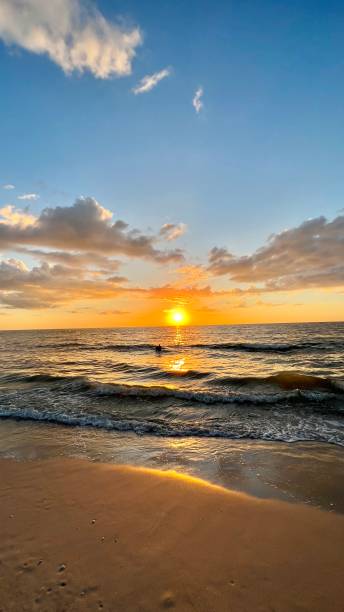 istock BEAUTY ON THE BEACH 1438279790