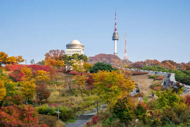 Autumn foliage at Namsan Mountain, Seoul, South Korea, with the N Seoul Tower at the summit.