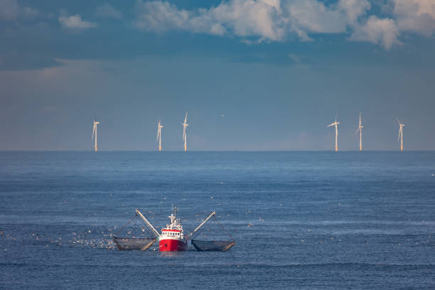 un cutter con reti da trascinamento sollevate sul mare del nord con turbine eoliche sullo sfondo - barca per pesca di gamberetti foto e immagini stock