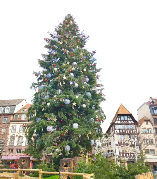Photo of Christmas tree decorated on the Place Kleber in old town of Strasbourg at day, France