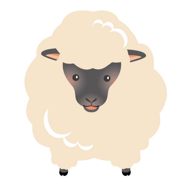 illustrations, cliparts, dessins animés et icônes de illustration de mouton du zodiaque mignon - année du mouton