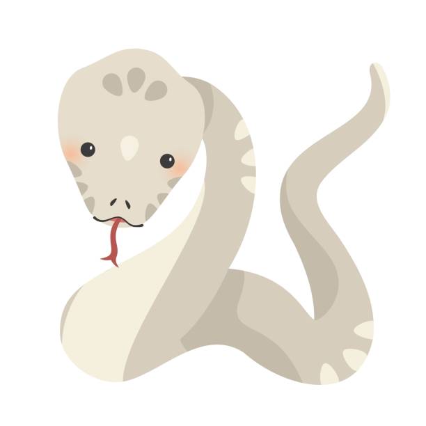 ilustraciones, imágenes clip art, dibujos animados e iconos de stock de linda ilustración de serpiente blanca del zodiaco - year of snake